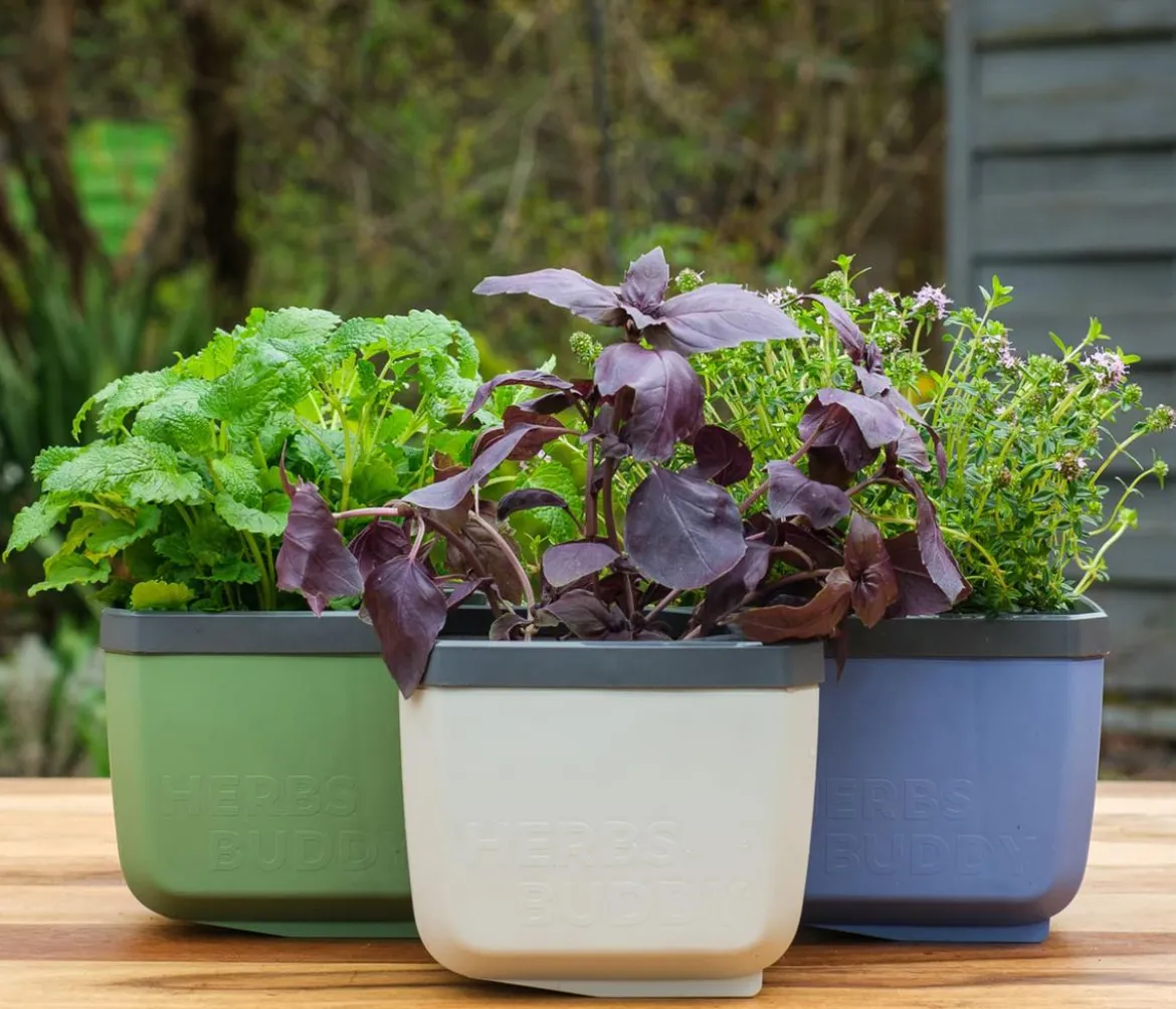 Gusta Garden Kräutertöpfe Herbs Buddy, ca. B19/H14,3/T13,6 cm, 3er-Set