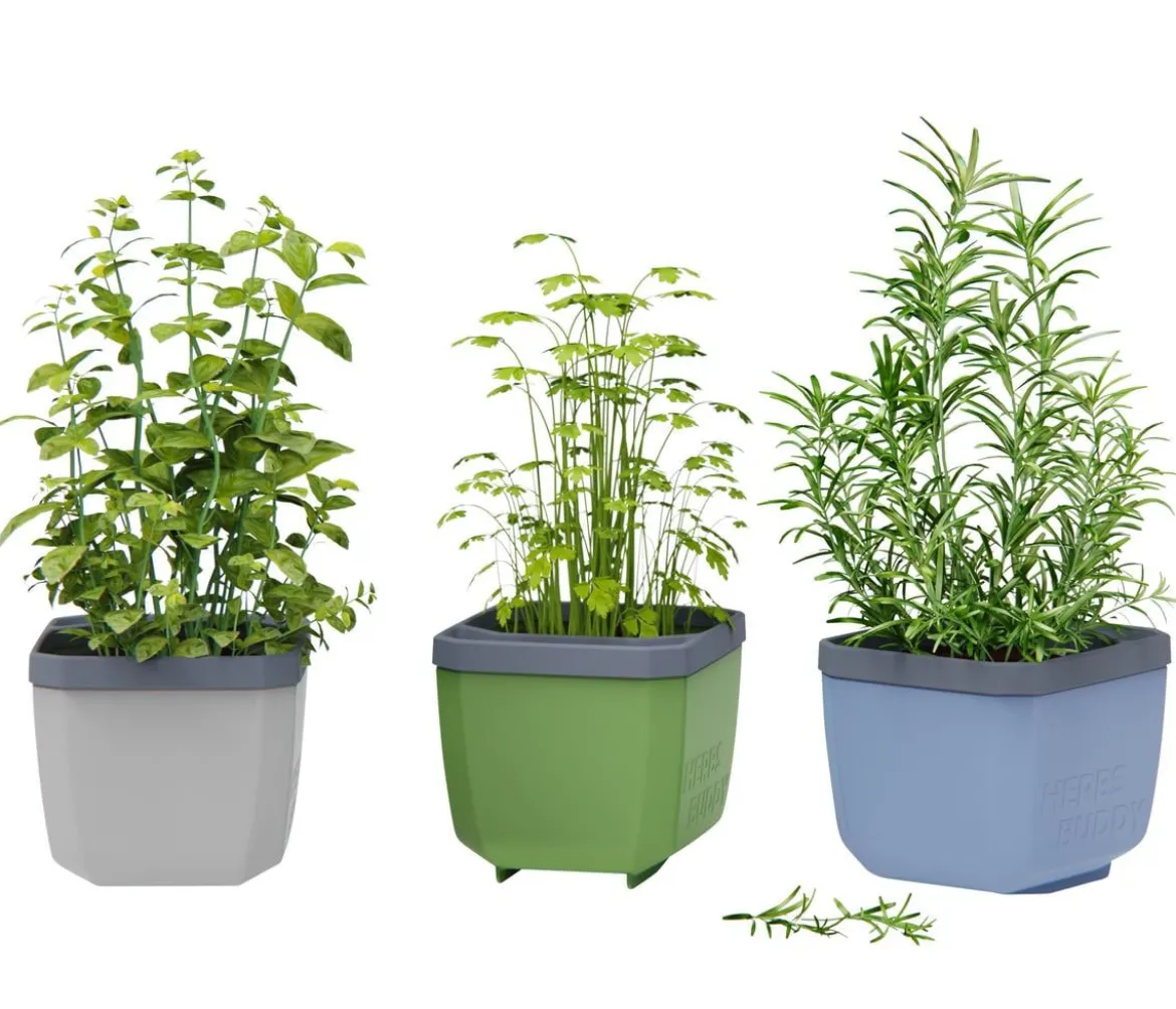 Gusta Garden Kräutertöpfe Herbs Buddy, ca. B19/H14,3/T13,6 cm, 3er-Set