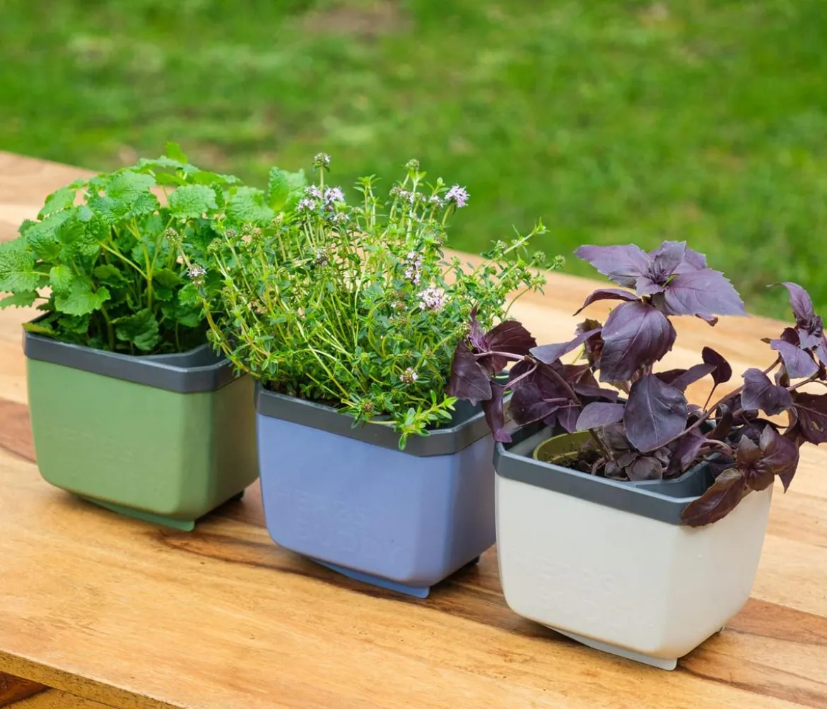 Gusta Garden Kräutertöpfe Herbs Buddy, ca. B19/H14,3/T13,6 cm, 3er-Set