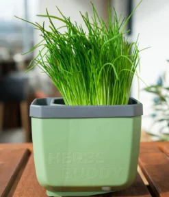 Gusta Garden Kräutertöpfe Herbs Buddy, ca. B19/H14,3/T13,6 cm, 3er-Set