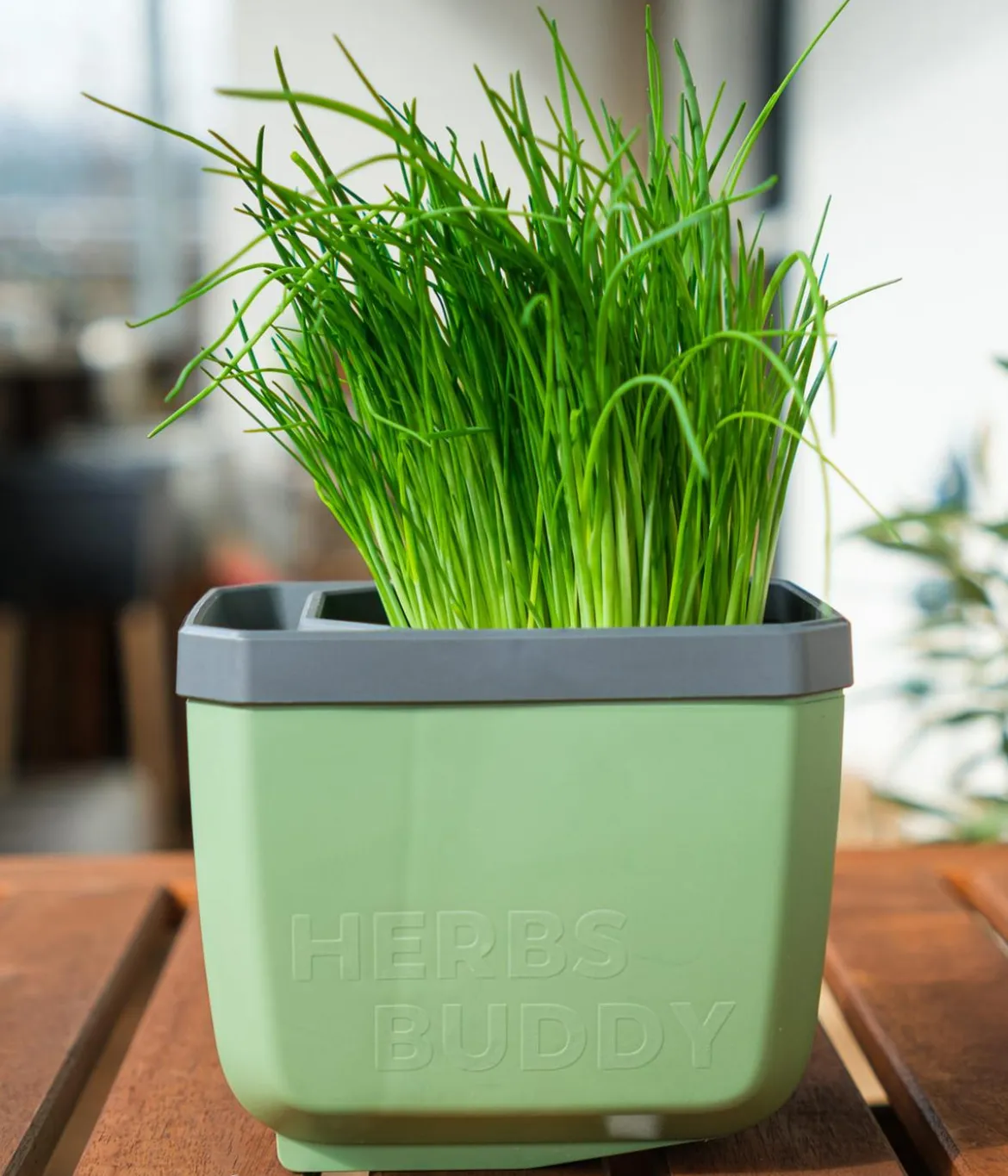 Gusta Garden Kräutertöpfe Herbs Buddy, ca. B19/H14,3/T13,6 cm, 3er-Set