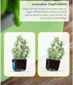 Gusta Garden Kräutertöpfe Herbs Buddy, ca. B19/H14,3/T13,6 cm, 3er-Set