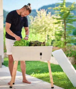 Gusta Garden Mini-Hochbeet Sammy Salad, inkl. Haube, ca. B79/H95/T38 cm