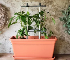 Gusta Garden Paprika-Rankhilfe Chili Buddy, ca. B34/H64/T19 cm