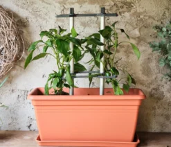 Gusta Garden Rankhilfe Chili Buddy, ca. B34/H64/T19 cm, 3er-Set