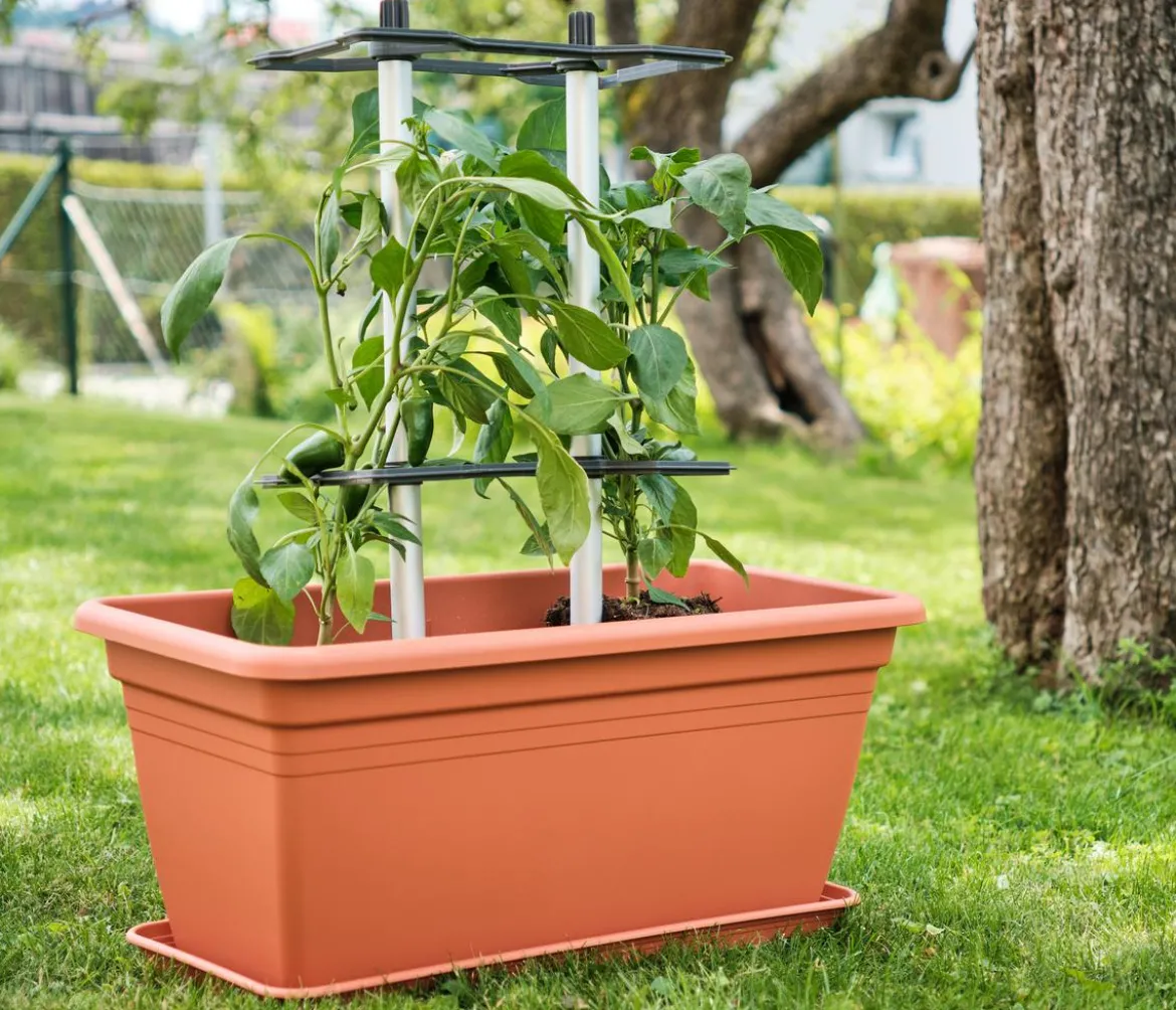 Gusta Garden Rankhilfe Chili Buddy, ca. B34/H64/T19 cm, 3er-Set