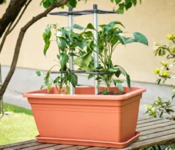 Gusta Garden Rankhilfe Chili Buddy, ca. B34/H64/T19 cm, 3er-Set