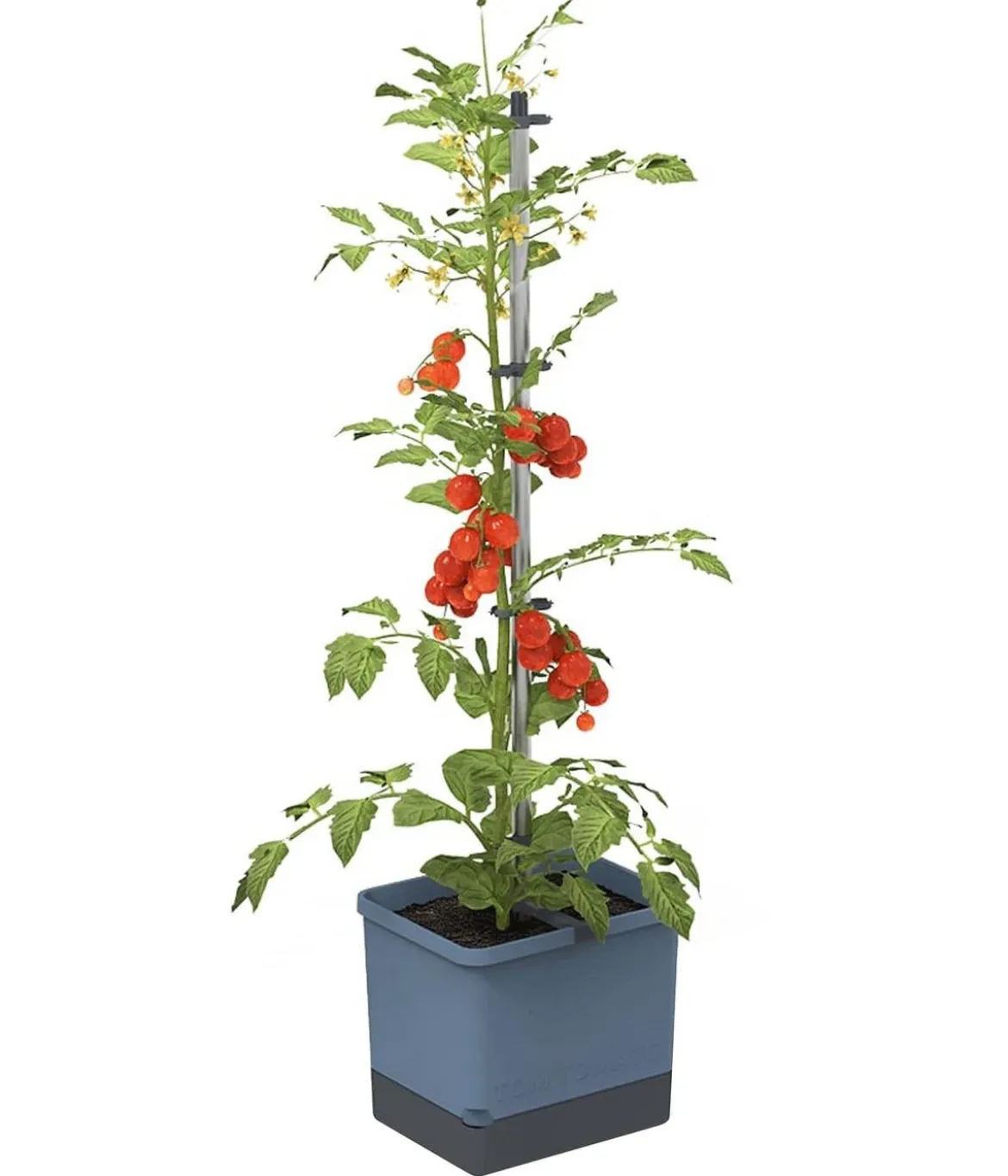 Gusta Garden Tomatentopf Tom Tomato, ca. B35/H135/T28 cm