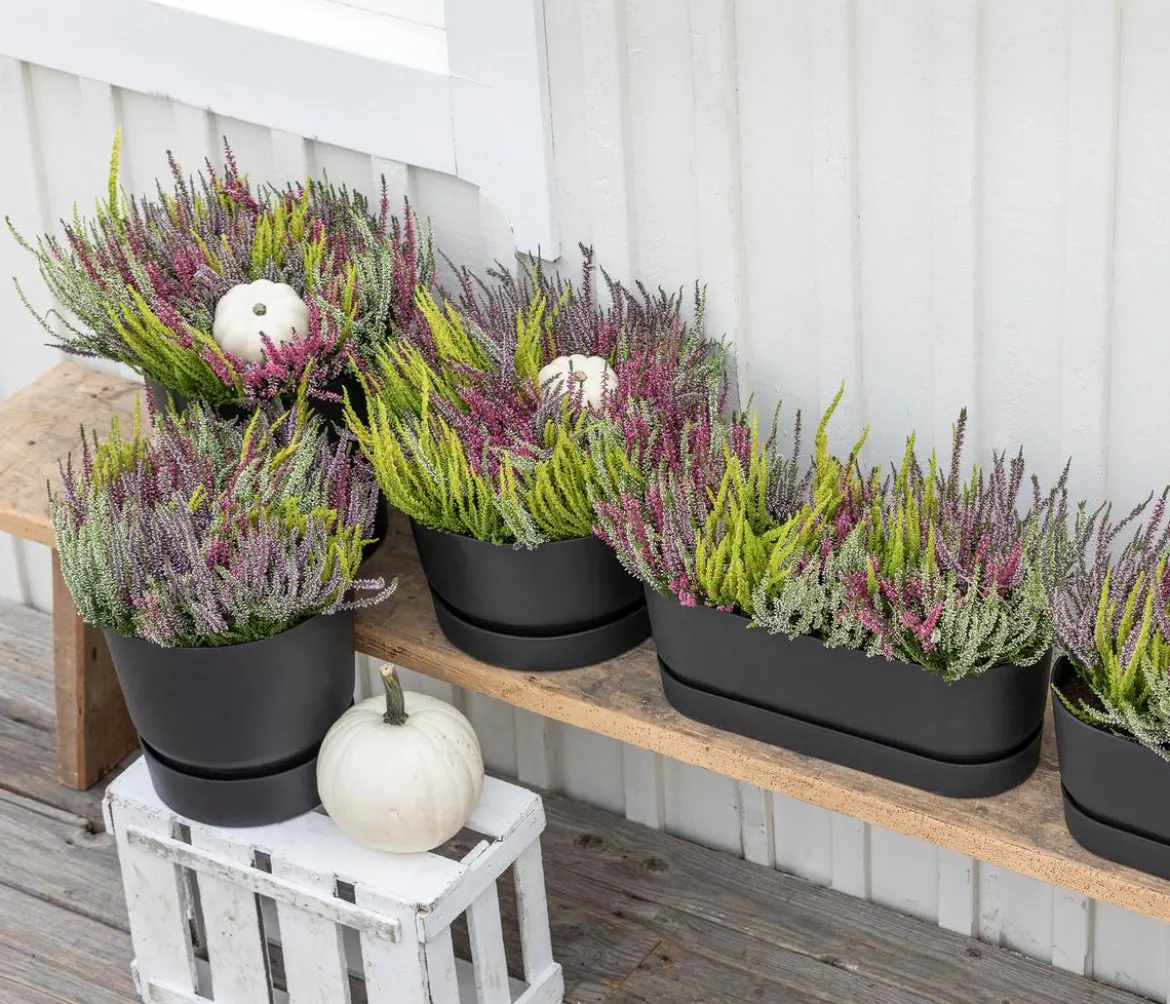 Halloween-Kürbis, ca. Ø20 cm