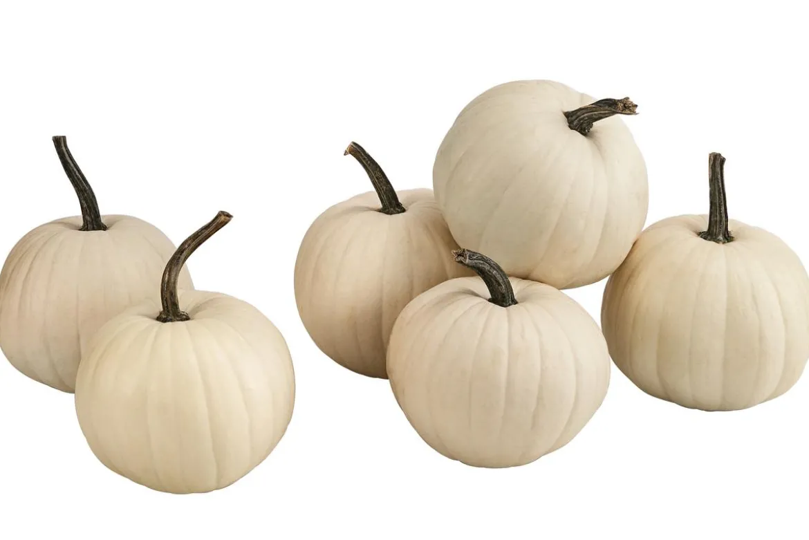 Halloween-Kürbis, ca. Ø20 cm