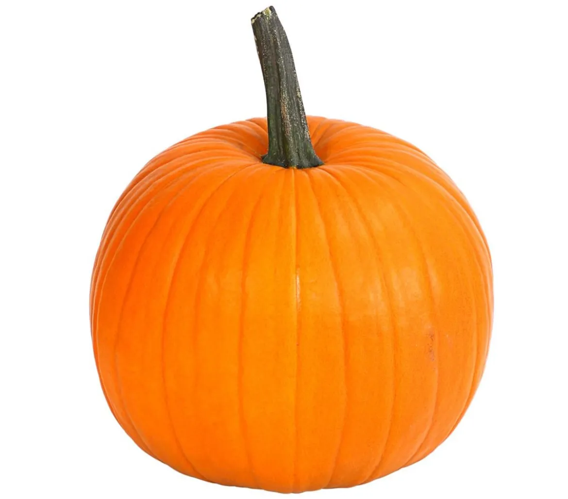 Halloween-Kürbis, ca. Ø25 cm