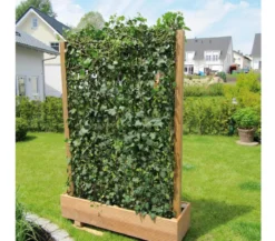 Hecke am laufenden Meter® 'Woerneri' - Efeu, ca. 200 cm