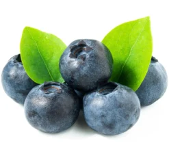 Heidelbeer-Set Blaubeer-Liebe, 4-teilig