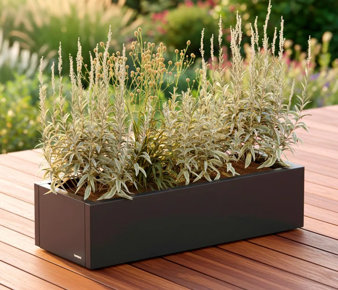 Herstera Metall-Pflanzkasten Cube Xic, rechteckig, anthrazit