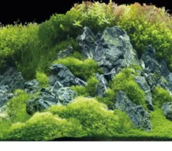 Hobby® Aquarium Rückwand Planted River/Green Rocks