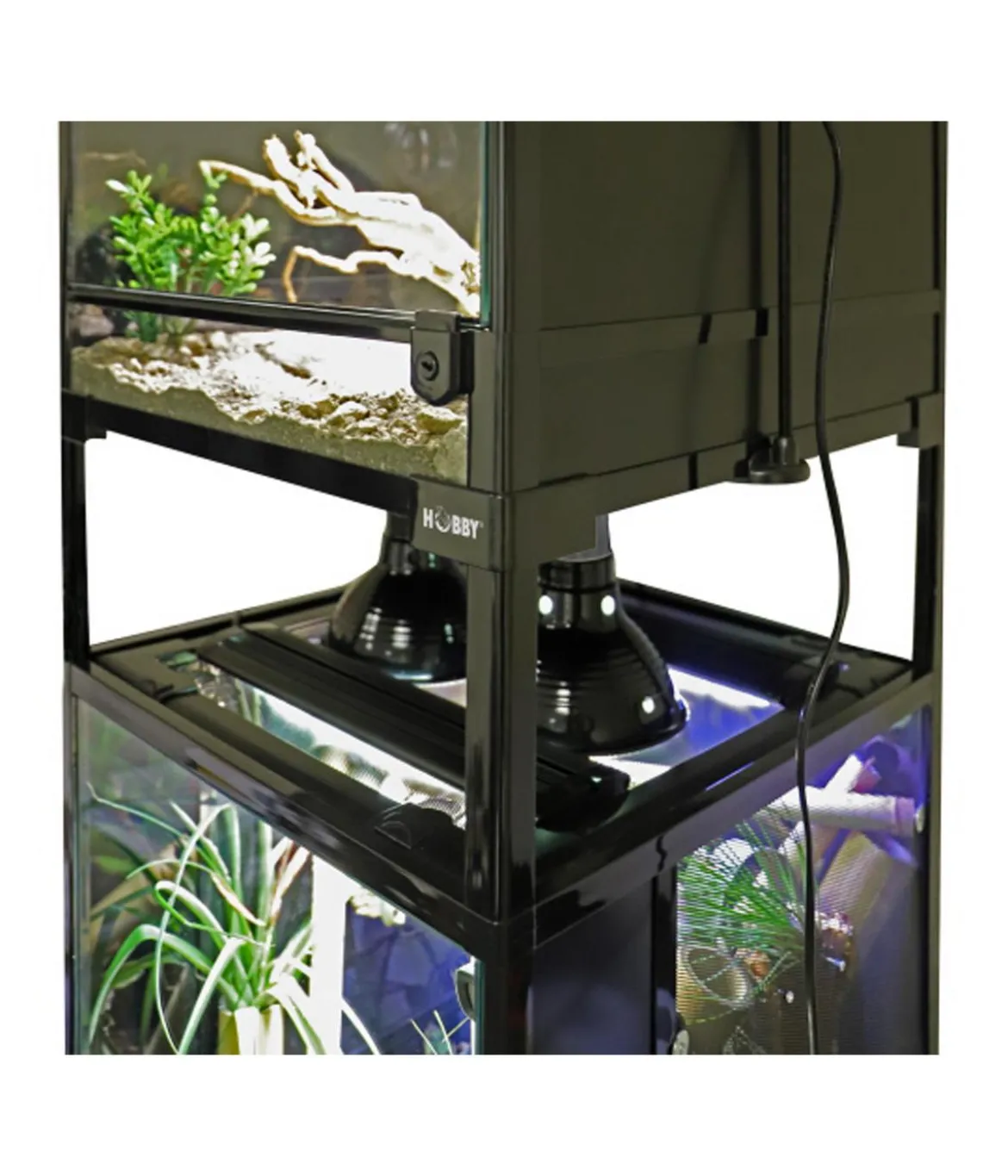 Hobby® Selbstbau Glasterrarium Terra Fix & Easy 60