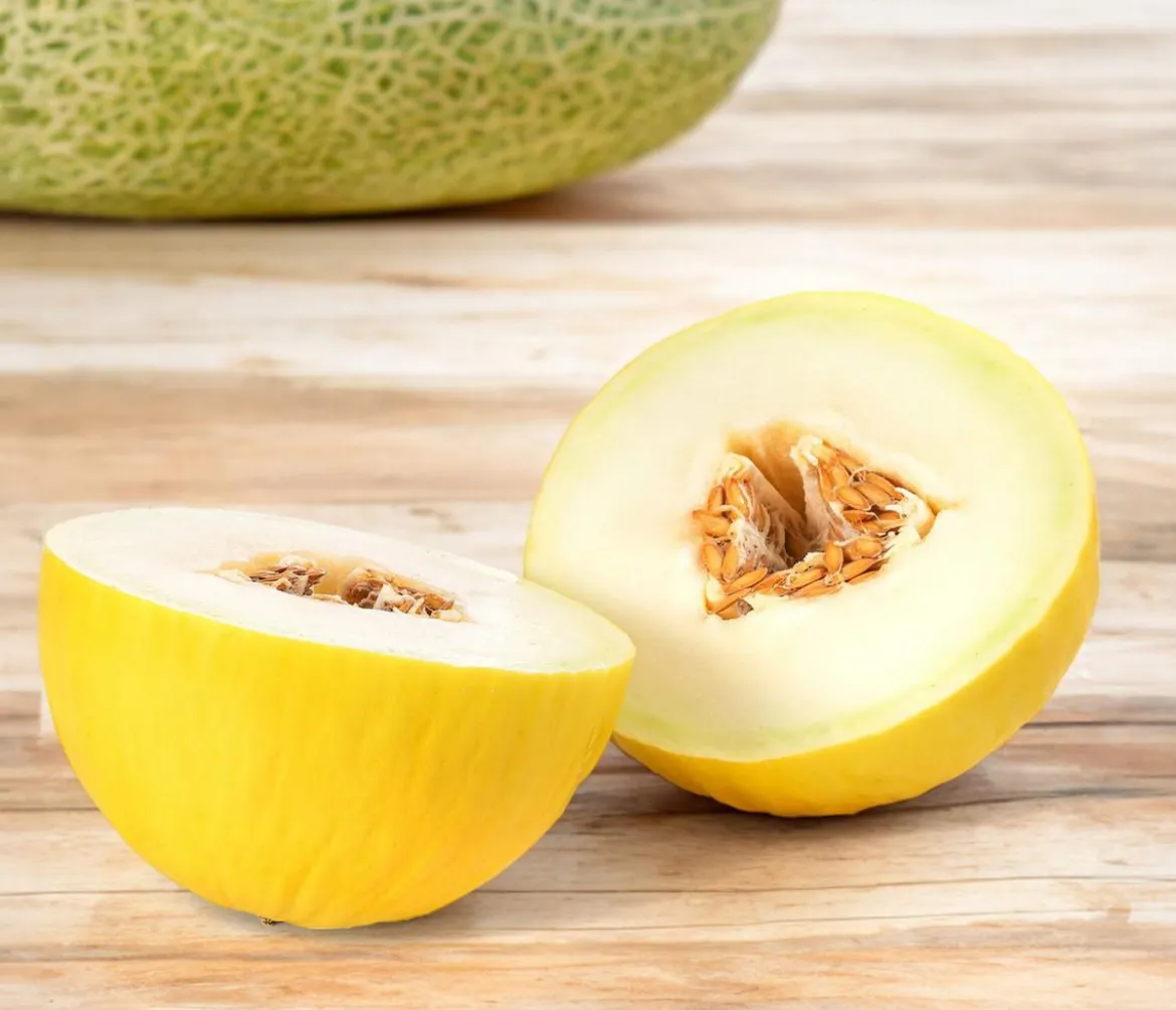 Honigmelone