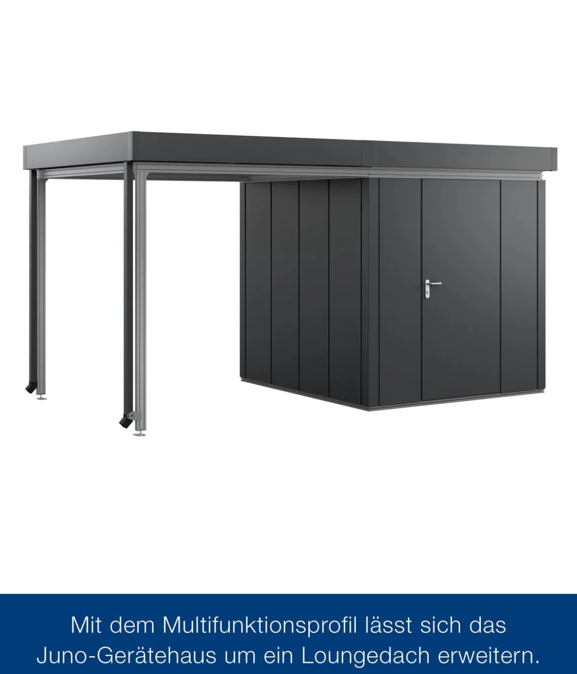 Hörmann Juno Multifunktionsprofil für JFD5, ca. B214/T214 cm