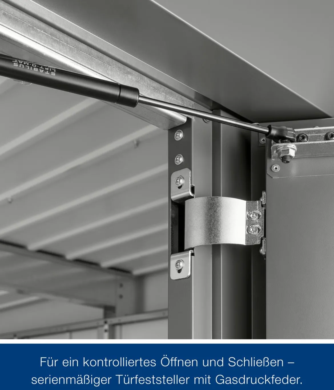 Hörmann Metallgerätehaus Juno JSD5 L-Sk Motiv Design bodentiefes Fenster, ca. B237/H223/T229 cm