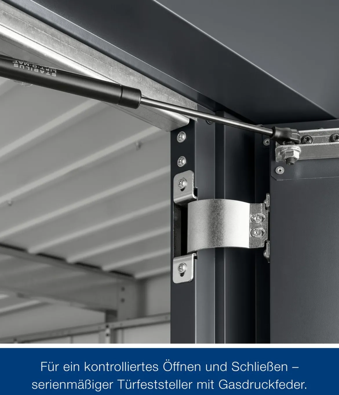 Hörmann Metallgerätehaus Juno JPD12 L-Sk Motiv Design mit Doppeltür, ca. B325/H224/T262 cm