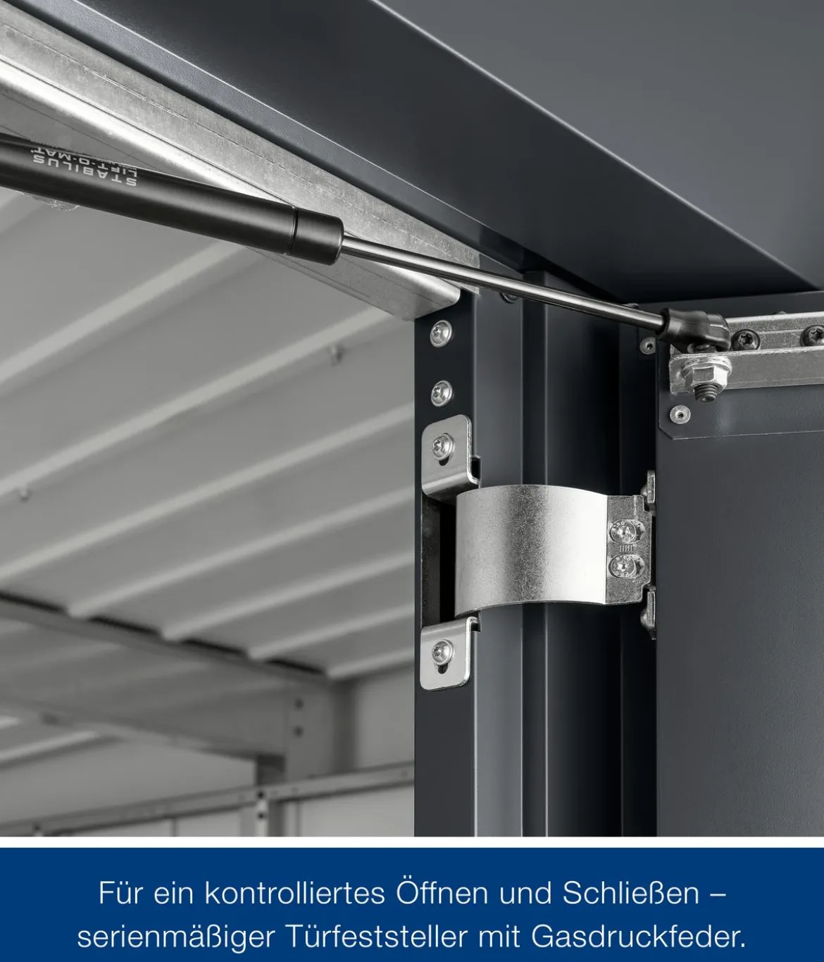 Hörmann Metallgerätehaus Juno JFD14 L-Sk Motiv Design bodentiefes Fenster mit Doppeltür, ca. B325/H222/T325 cm