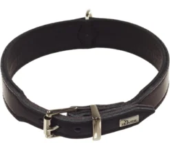 HUNTER® Hundehalsband Basic, schwarz