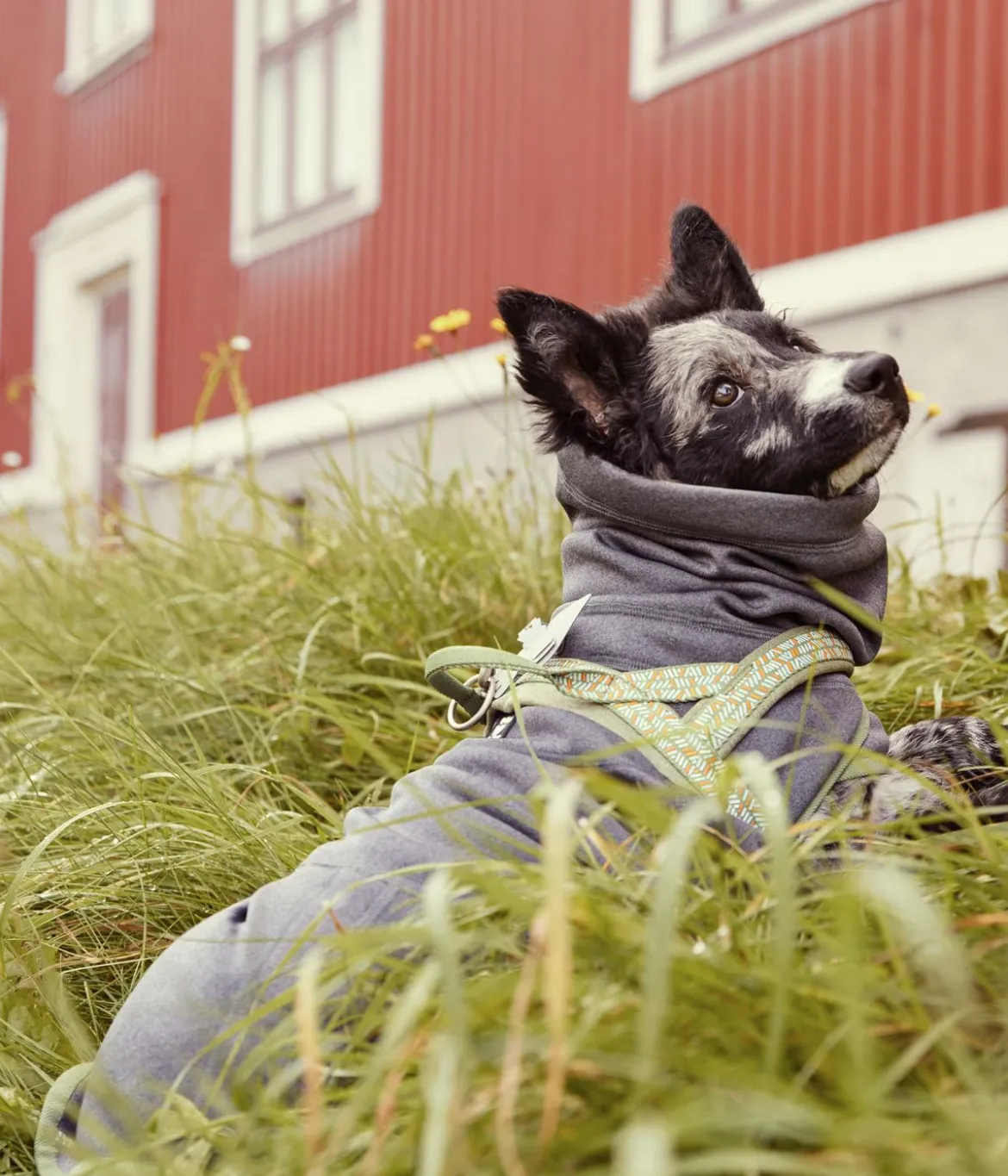 Hurtta Hunde-Fleecejacke Razzle-Dazzle Midlayer Blackberry