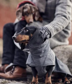Hurtta Hundejacke Expedition Parka II Blackberry