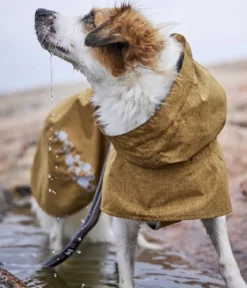 Hurtta Hunde-Regenjacke Monsoon II