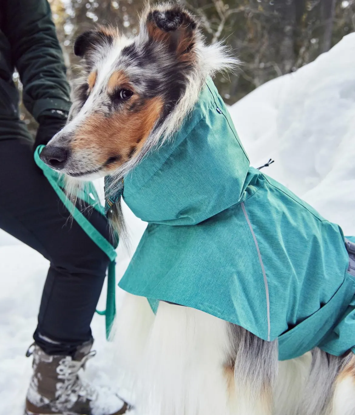Hurtta Hunde-Regenjacke Monsoon II