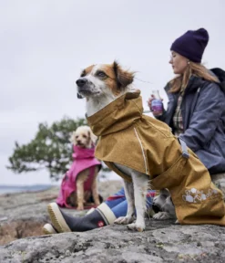 Hurtta Hunde-Regenjacke Monsoon II