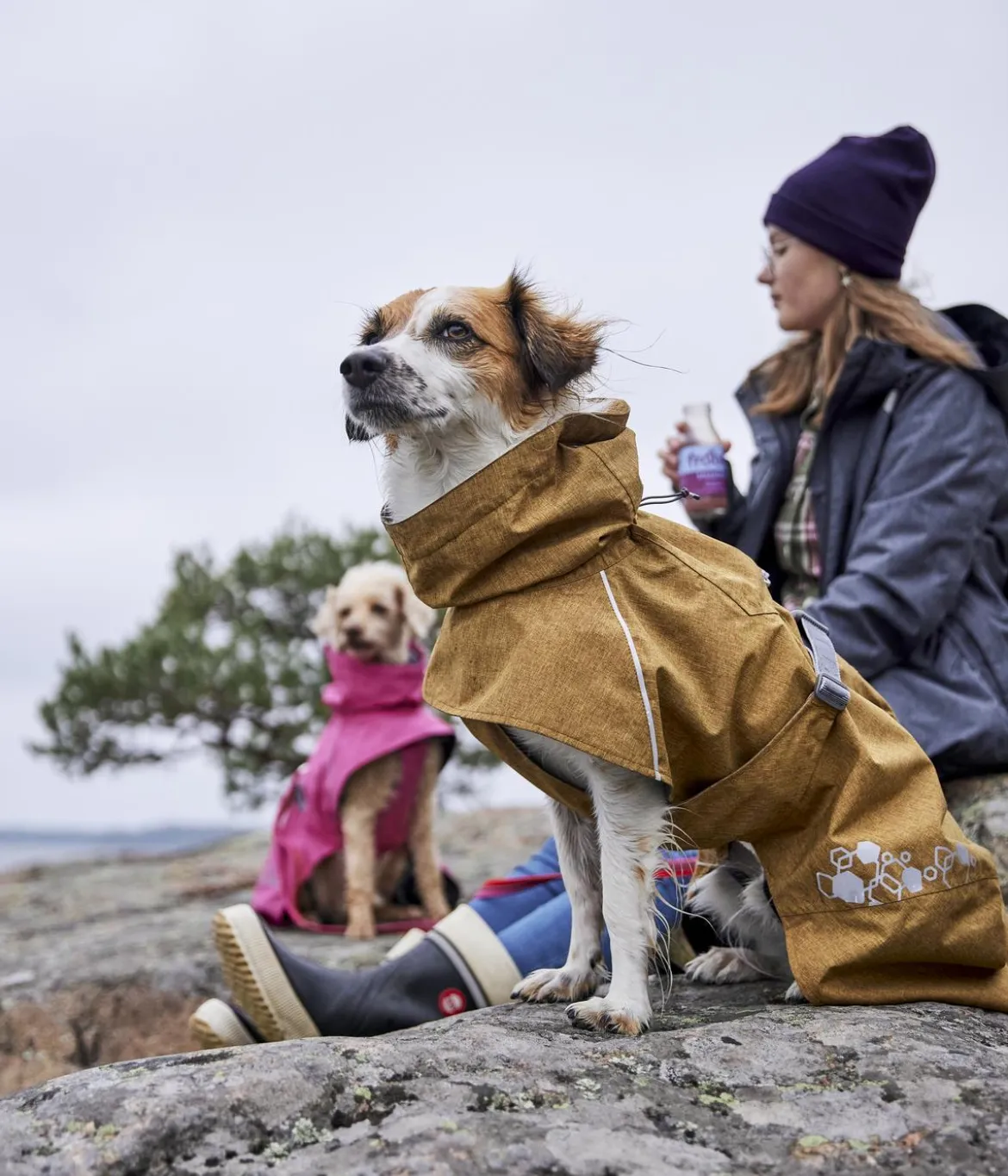 Hurtta Hunde-Regenjacke Monsoon II