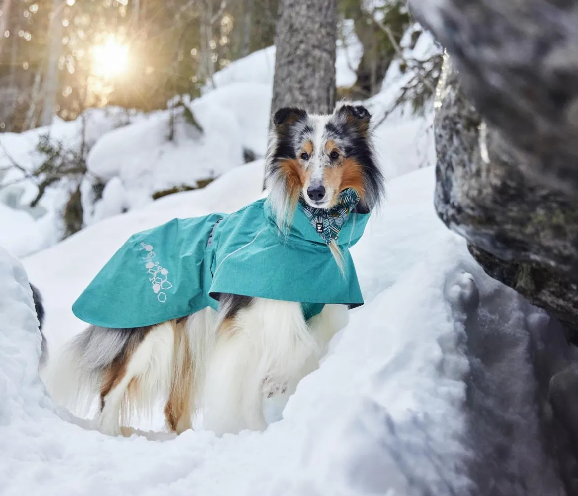 Hurtta Hunde-Regenjacke Monsoon II