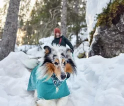 Hurtta Hunde-Regenjacke Monsoon II