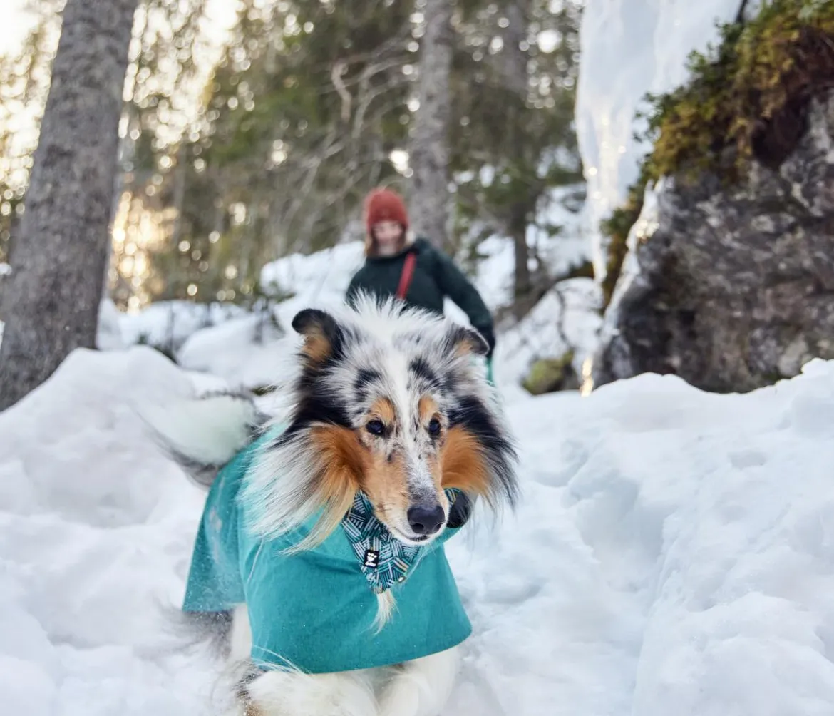 Hurtta Hunde-Regenjacke Monsoon II
