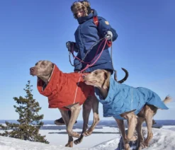 Hurtta Hunde-Winterjacke Extreme Warmer III Bilberry