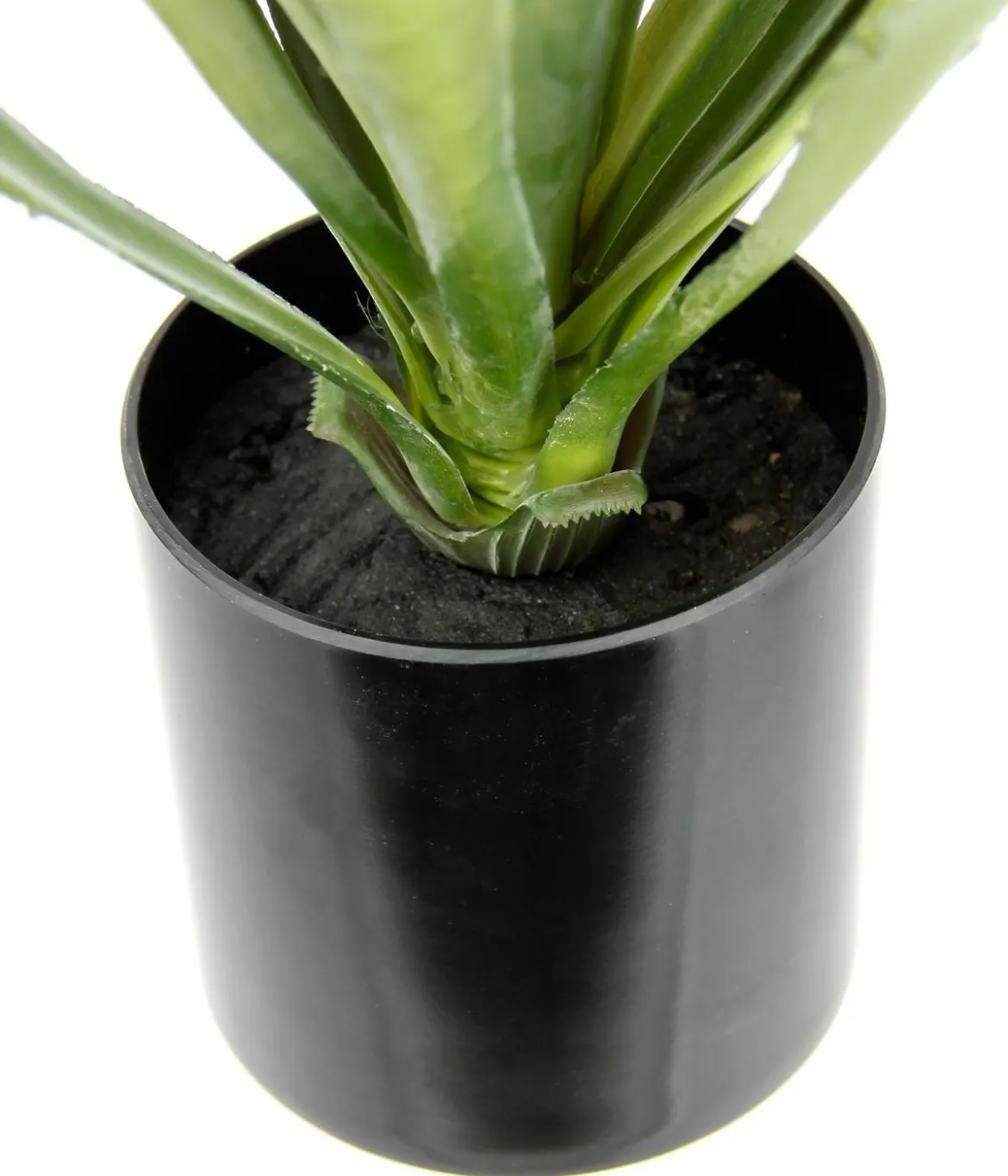 I.GE.A. Kunstpflanze Agave im Kunststoff-Topf, ca. H38 cm