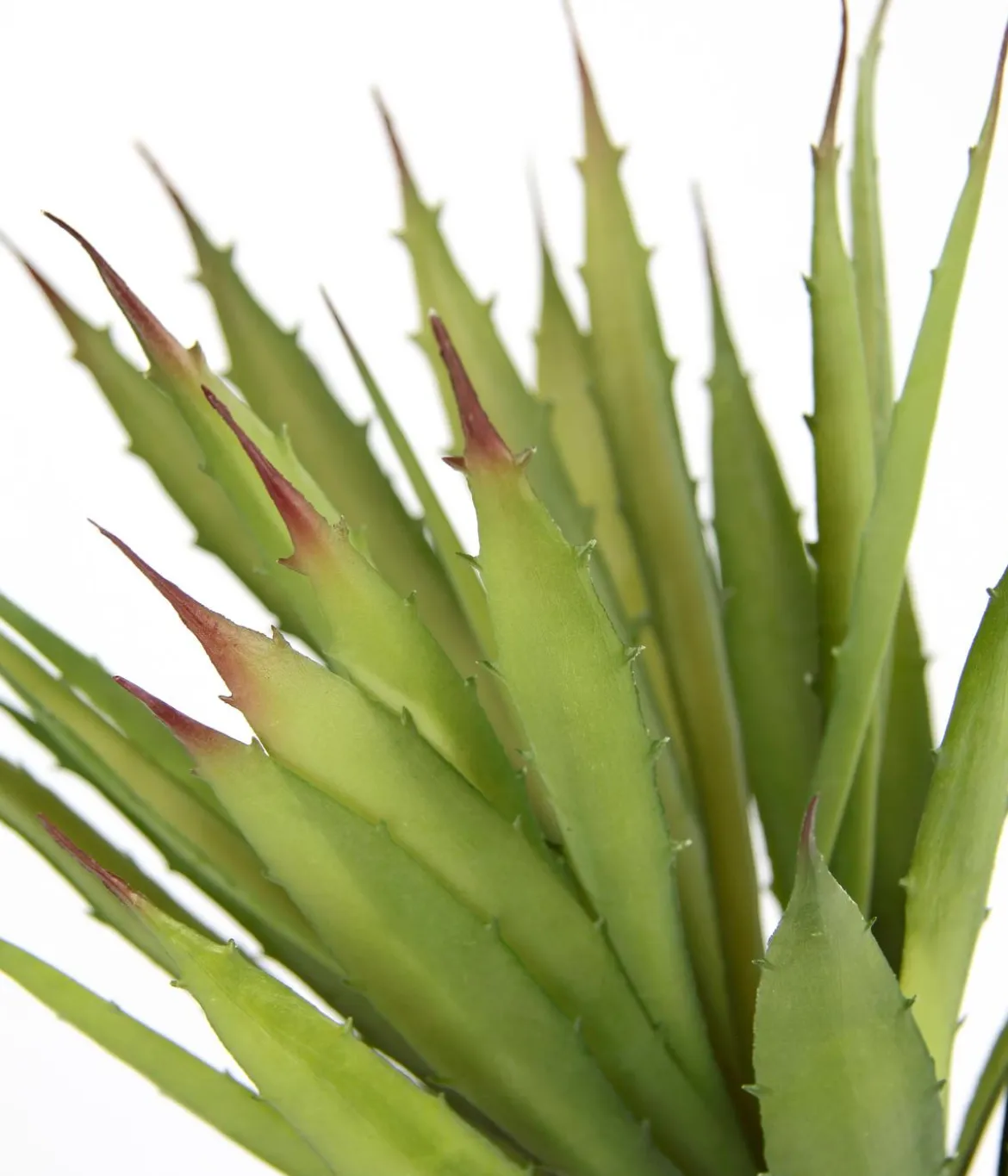 I.GE.A. Kunstpflanze Agave im Kunststoff-Topf, ca. H38 cm