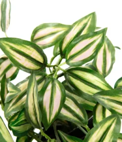 I.GE.A Kunstpflanze Dreimasterblume Tradescantia Zebrina im Kunststoff-Topf, ca. H23 cm
