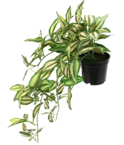 I.GE.A Kunstpflanze Dreimasterblume Tradescantia Zebrina im Kunststoff-Topf, ca. H23 cm