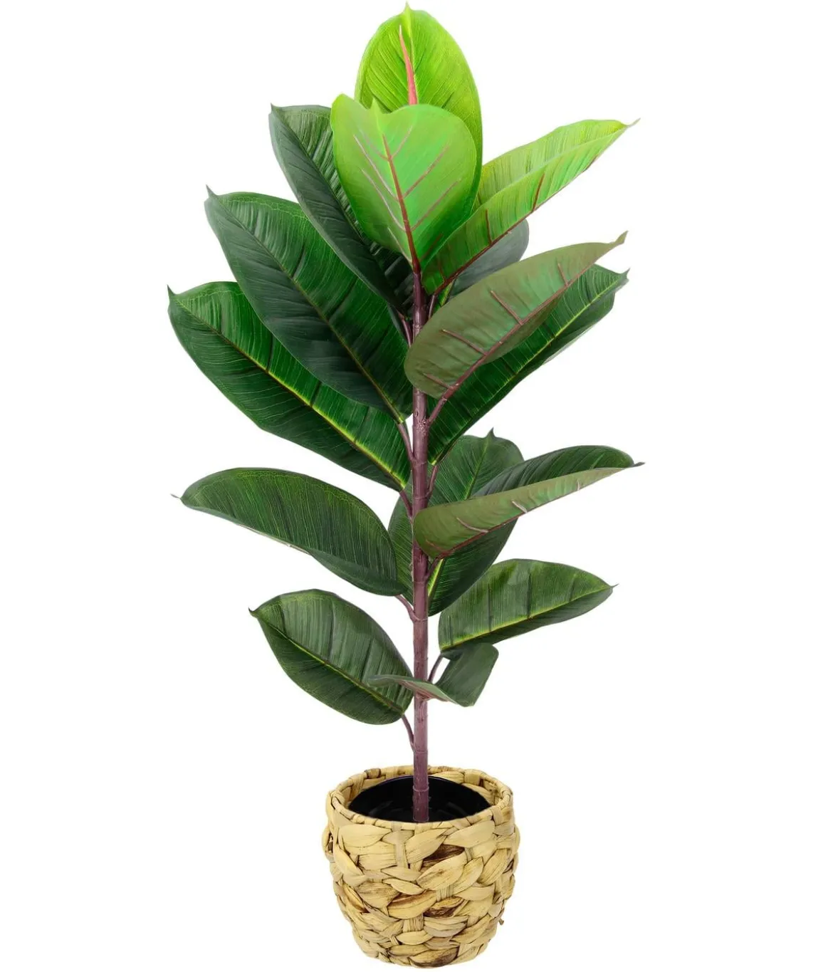 I.GE.A. Kunstpflanze Gummibaum im Wasserhyazinthentopf, ca. H84 cm