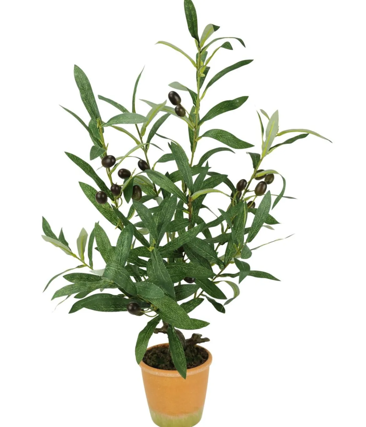 I.GE.A. Kunstpflanze Olive mit schwarzen Oliven, im Topf, ca. H57 cm