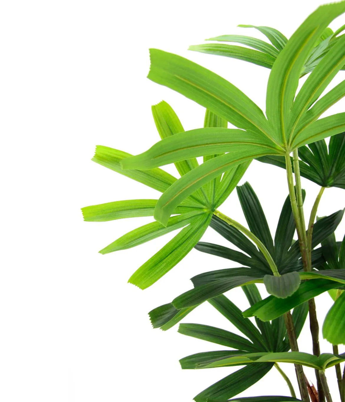 I.GE.A. Kunstpflanze Palme Rhapis im Topf, ca. H88 cm