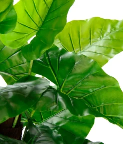 I.GE.A. Kunstpflanze Philodendron im Kunststoff-Topf, ca. H85 cm