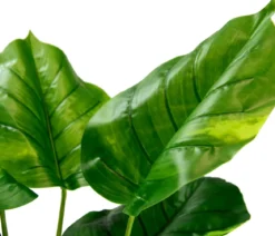 I.GE.A. Kunstpflanze Pothos im Topf, ca. H80 cm