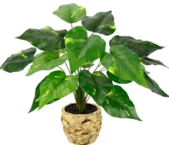 I.GE.A. Kunstpflanze Pothos im Wasserhyazinthentopf, ca. H40 cm