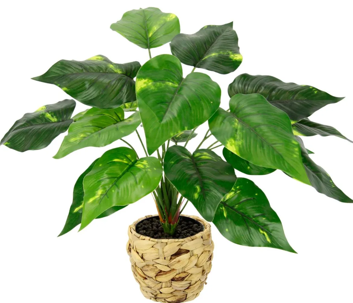 I.GE.A. Kunstpflanze Pothos im Wasserhyazinthentopf, ca. H40 cm