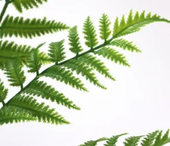 I.GE.A. Kunstpflanze Waldfarn im Topf, ca. H90 cm