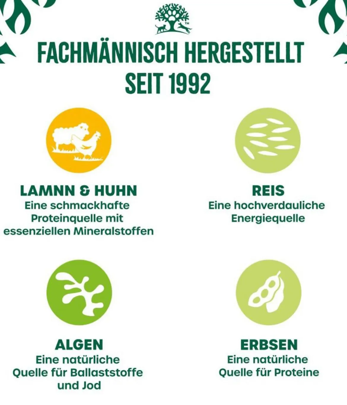 James Wellbeloved Nassfutter für Hunde Senior, Lamm & Huhn in Pastete