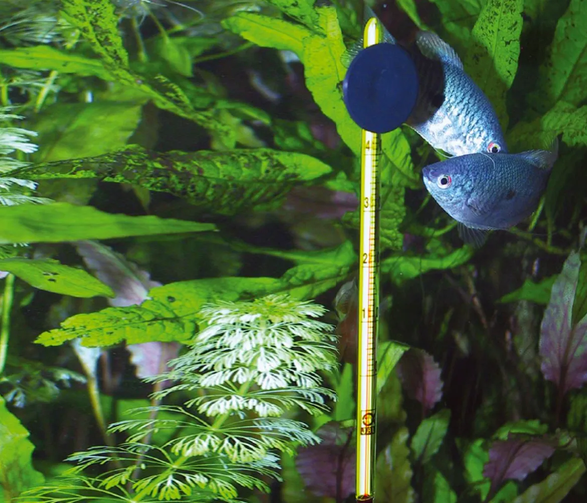 JBL Aquarium Thermometer Slim